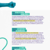 À bras le corps - Ouvrir la parole sur les violences gynécologiques et obstétricales et construire de meilleures relations entre soignant·es et soigné·es. - NUMERIQUE – Image 2