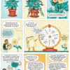 L'EVRAS en 10 questions – NUMERIQUE – Image 3